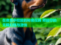 在夜色中绽放的秘密花园 释放你的无限幻想与激情