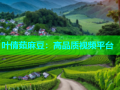 叶倩茹麻豆：高品质视频平台