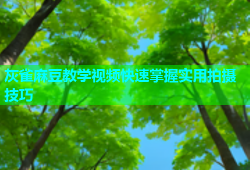 灰雀麻豆教学视频快速掌握实用拍摄技巧