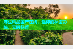 麻豆精品国产在线，懂你的私密影院，无限畅看