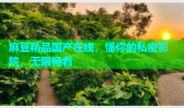 麻豆精品国产在线，懂你的私密影院，无限畅看