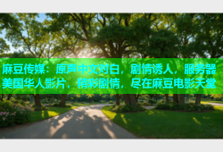 麻豆传媒：原声中文对白，剧情诱人，服务器美国华人影片，精彩剧情，尽在麻豆电影天堂