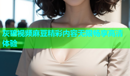 灰狼视频麻豆精彩内容无限畅享高清体验