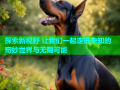探索新视野 让我们一起走进未知的奇妙世界与无限可能