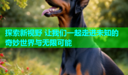 探索新视野 让我们一起走进未知的奇妙世界与无限可能