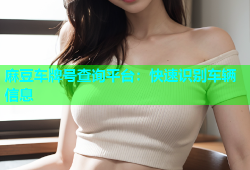 麻豆车牌号查询平台：快速识别车辆信息
