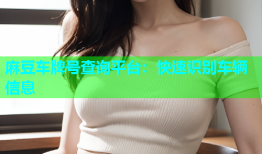 麻豆车牌号查询平台：快速识别车辆信息