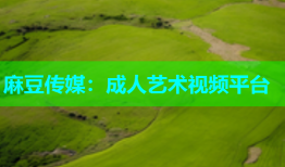 麻豆传媒：成人艺术视频平台