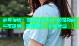 麻豆传媒：原声中文AV，破解你的午夜孤单，定制剧情，付费片源