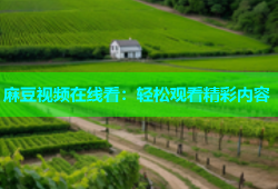 麻豆视频在线看：轻松观看精彩内容