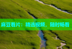 麻豆看片：精选视频，随时畅看