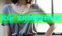 武豆：文化营销策划专家