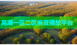高潮一区二区麻豆播放平台