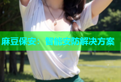 麻豆保安：智能安防解决方案
