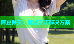 麻豆保安：智能安防解决方案
