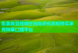 集美麻豆视频在线免费优质模特买家秀种草口播平台