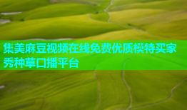 集美麻豆视频在线免费优质模特买家秀种草口播平台