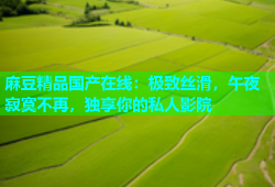 麻豆精品国产在线：极致丝滑，午夜寂寞不再，独享你的私人影院