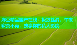 麻豆精品国产在线：极致丝滑，午夜寂寞不再，独享你的私人影院