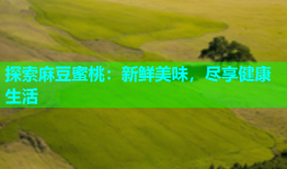 探索麻豆蜜桃：新鲜美味，尽享健康生活