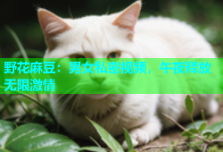 野花麻豆：男女私密视频，午夜释放无限激情