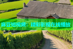 麻豆短视频：精彩影视在线播放