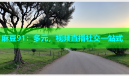 麻豆91：多元，视频直播社交一站式