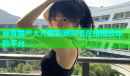 麻豆国产大尺度视频高清在线播放体验平台