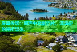 麻豆传媒：原声中文剧情片，满足你的视听想象.