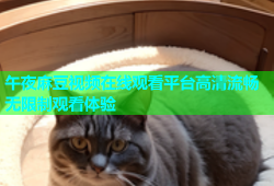 午夜麻豆视频在线观看平台高清流畅无限制观看体验