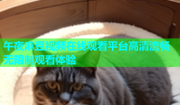 午夜麻豆视频在线观看平台高清流畅无限制观看体验