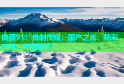 麻豆91：自制传媒，国产之光，精彩在线，无限可能