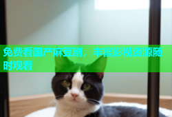 免费看国产麻豆剧，丰富影视资源随时观看