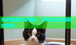 免费看国产麻豆剧，丰富影视资源随时观看