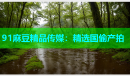 91麻豆精品传媒：精选国偷产拍