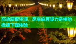 高效获取资源，尽享麻豆磁力链接的极速下载体验