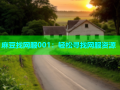 麻豆找网服001：轻松寻找网服资源