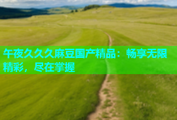 午夜久久久麻豆国产精品：畅享无限精彩，尽在掌握
