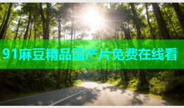 91麻豆精品国产片免费在线看