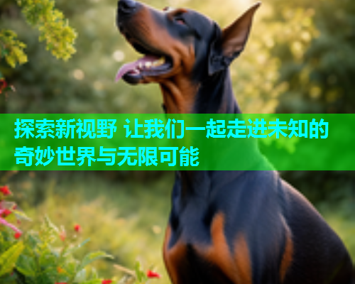 探索新视野 让我们一起走进未知的奇妙世界与无限可能