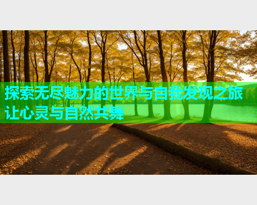 探索无尽魅力的世界与自我发现之旅 让心灵与自然共舞