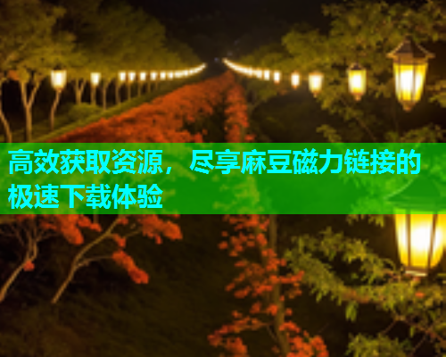 高效获取资源，尽享麻豆磁力链接的极速下载体验