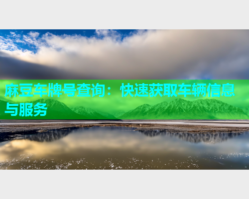 麻豆车牌号查询：快速获取车辆信息与服务