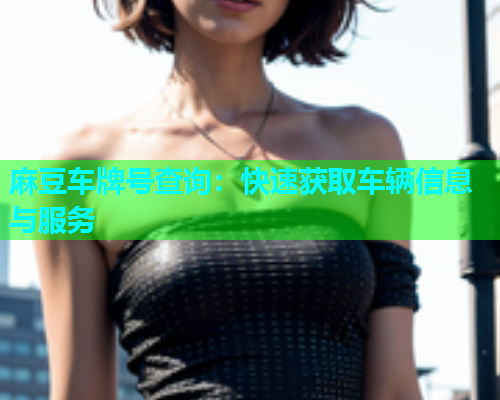 麻豆车牌号查询：快速获取车辆信息与服务