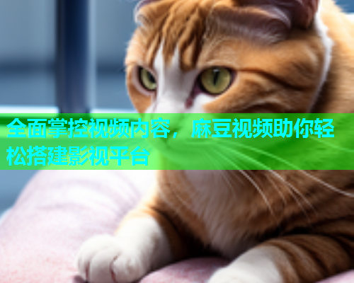 全面掌控视频内容，麻豆视频助你轻松搭建影视平台