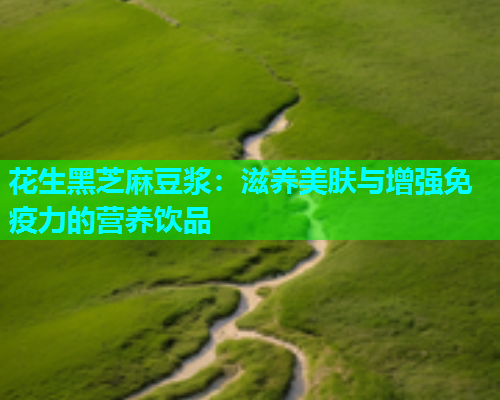 花生黑芝麻豆浆：滋养美肤与增强免疫力的营养饮品