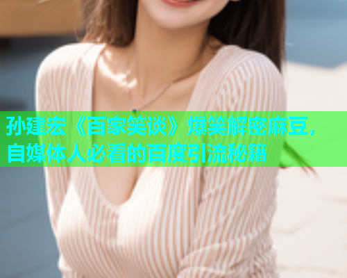 孙建宏《百家笑谈》爆笑解密麻豆，自媒体人必看的百度引流秘籍