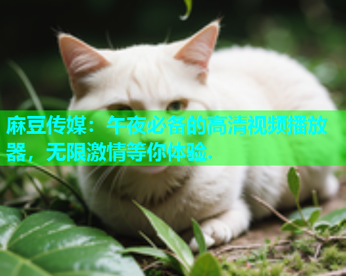 麻豆传媒：午夜必备的高清视频播放器，无限激情等你体验.