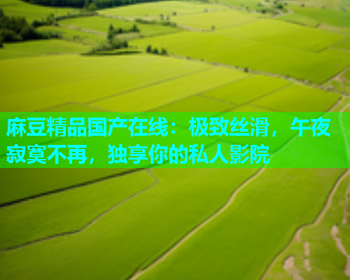 麻豆精品国产在线：极致丝滑，午夜寂寞不再，独享你的私人影院