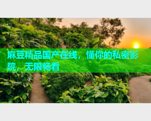麻豆精品国产在线，懂你的私密影院，无限畅看